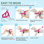 SlowTon No Pull Small Dog Harness and Leash Set, Puppy Soft Vest Harness Neck & - Image 9
