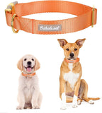 Nylon Dog Collar - Image 2
