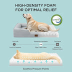 Bedsure Orthopedic Dog Beds for Small Dogs - Image 3