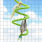 Spiral Rope Perch & Swing - Image 3