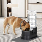 RIZZARI Large Water Dispenser for Dogs: 8L Black Raised Gravity Auto-Refill - Image 6