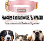 Nylon Dog Collar - Image 8