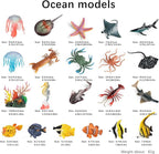 Sea Animals Toys Figures 21Pcs, Plastic Marine Creature Shark Fish Starfish - Image 2
