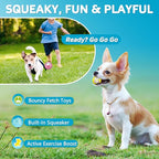 Squeaky Dog Toys Soft Latex Rubber Squeaky Dog Balls - Image 5
