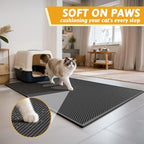 Pieviev Cat Litter Mat Double Layer Waterproof Urine Proof Trapping Mat 1 Pack) - Image 4