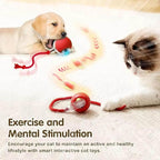 2 PCS Interactive Cat Toy Rolling Ball Chewie Viral Dog Ball, Smart Automatic - Image 4