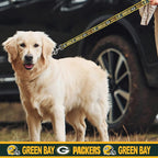 Green Bay Packers NFL Dog & Cat Collar - Image 4