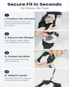 Luxelle 2 Pack Escape-Proof Cat Harness and Leash Set - Image 5