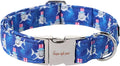 Unique style paws Independence Day Dog Collar Metal Buckle Hat Shark Collar by Uniquestylepaws