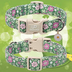St. Patrick's Day Dog Collar, UP URARA PUP Shamrock Adjustable Pet Collar - Image 2
