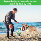 QDAN Dog Soccer Ball Football Basketball Set - Image 5