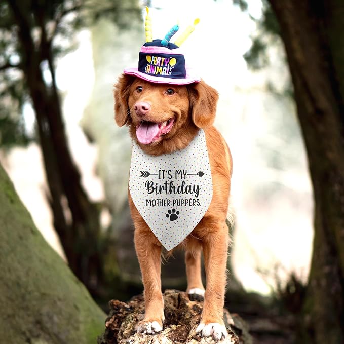 It's My Birthday Mother Puppers White Dog Bandana Birthday Gifts - Image 5