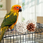 Kyouki Bird Toys Parrot Toys Natural Bird Foraging Box Foot - Image 6