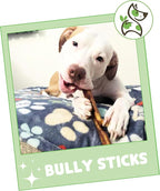 Nature Gnaws Bully Sticks for Dogs 5-6" - Image 7