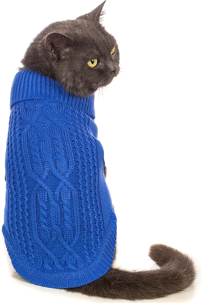 Stretchy Cat Sweater by Jnancun