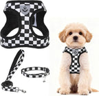 PUPTECK Adjustable Dog Harness Collar and Leash Set Step in No Pull Pet Harness by PUPTECK