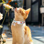 Unique Style Paws Kitten Collar, Cute Cat Collar - Image 6