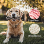Gardner Pet 4-Pack Dog Chew Toy, Long Lasting Interactive Dog Toys Add Shredded - Image 3