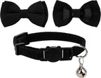 Collar for Cat Pet Breakaway - Image 3
