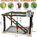 Tfwadmx Parrots Playstand Bird Play Gym Cockatiel Playground Wood Perch Stand - Image 2