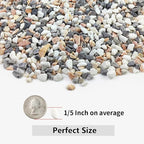 10LB Succulent and Cactus Gravel Pebbles, 1/5 Inch Natural Decorative Polished - Image 2