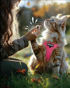 FAYOGOO Pink Solid Cat Harness and Leash Set, Escape Proof, Adjustable - Image 7
