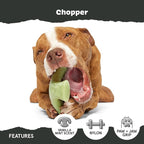 Barkbox Super Chewer Tough Dog Chew Toys - Image 4
