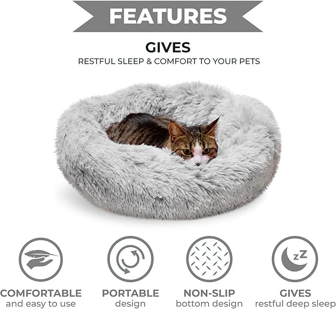 Whiskers & Friends Cat Bed, Cat Beds - Image 4