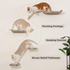 Wall Mounted Cat Shelves and Perches, Scratcher Cat Beds & Furniture - Image 5