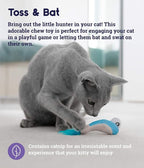 Catstages Petstages Dental Shrimpies Catnip Cat Chew Toy - Image 3