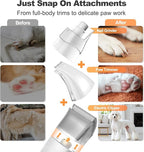 Afloia 6-in-1 Dog Grooming Kit, Pet Grooming Vacuum - Image 3