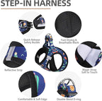 PUPTECK Adjustable Dog Harness Collar and Leash Set, Step in No Pull Pet Harness - Image 2