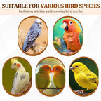 Sintuff 8 Pcs Bird Perches for Cage Accessories, Wooden Perch Rods Replacement - Image 6