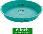 6 Pack of 6 inch Plant Saucer Drainage Tray, 4 5 7 8 10 12 13 15 17 19 inch - Image 2