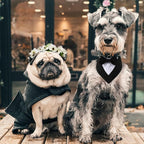 Dog Wedding Bandana, Formal Dog Tuxedo Adjustable Pet Collar - Image 5
