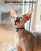 Cat Collar with QR Code Name Tag, Breakaway Kitten Collar - Image 5