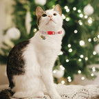 Christmas Breakaway Cat Collars - Image 7