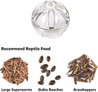 Bearded Dragon Feeder Toy Reptile Foraging Ball Lizard Enrichment Interactive - Image 3