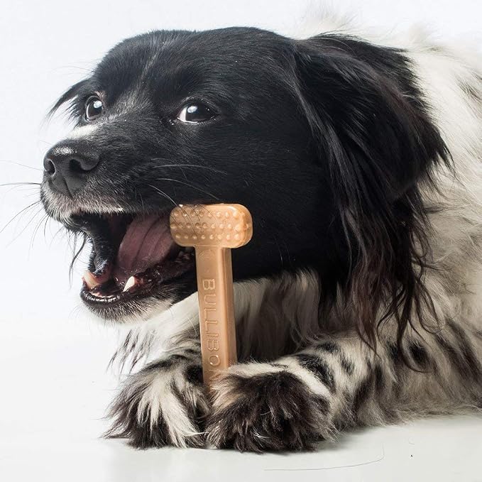 Bullibone Nylon Dog Chew Toy for Aggressive Chewers - Image 8