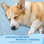 Upgraded Self-Cooling Mat for Dogs & Cats - Image 4
