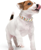 Faygarsle Colorful Floral Dog Collar, Cotton Fabric - Image 6