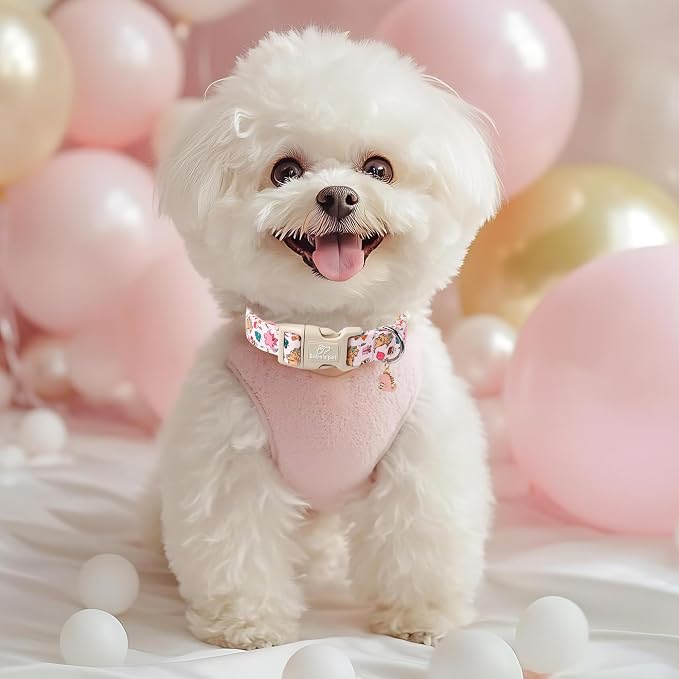 Cute Dinosaur Dog Collar, Adjustable Pink Dino Dog Collars - Image 3
