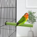 Hypeety Bird Cage Perch Stand Wooden Paw Grinding Toy Chew Toys - Image 7