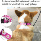QQPETS Adjustable Soft Dog Collar: Print Flower Pink Multicolor Cute Patterns - Image 2