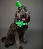 Lionheart glory St. Patrick's Day Dog Collar - Image 4