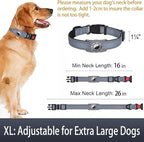 Airtag Dog Collar with AirTag Holder - Image 6