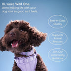 Wild One - Dog & Cat Placemat for Food & Water - Silicone, Non-Toxic - Great - Image 8