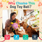 QDAN Dog Birthday Toys, Squeaky Dogs Toys, Dog Soccer Ball - Image 4