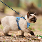 Cat Harness and Leash Set for Walking Escape Proof, Improved Four Place - Image 5