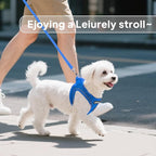 PetiFine Step in Small Dog Harness and Leash Set, Breathable All Weather Air - Image 7